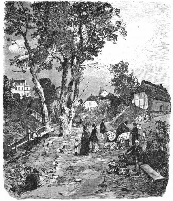 Damals auf Rügen (319-8)